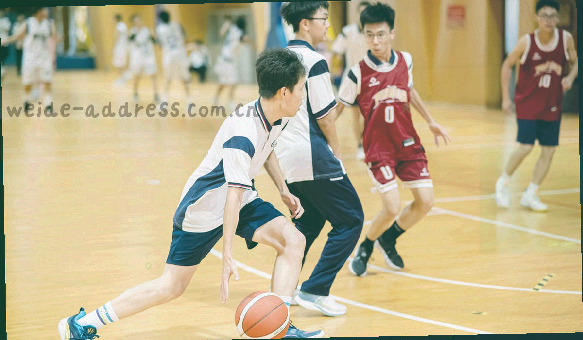 年度参数年鉴与五年区间回顾专题的抽象视觉图