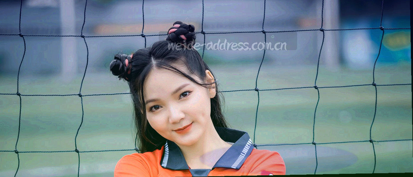 近五年 20 个季度参数区间对照图，逐个季度标注最小值、最大值与当前值